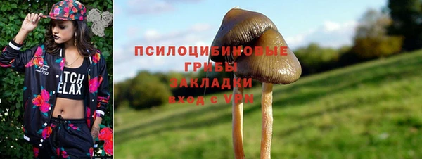 гидра Лагань
