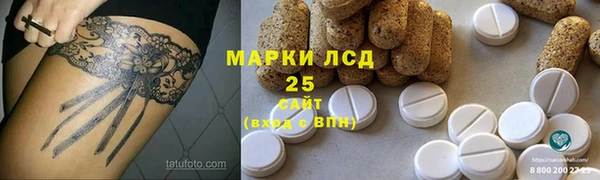 ПСИЛОЦИБИНОВЫЕ ГРИБЫ Лабытнанги