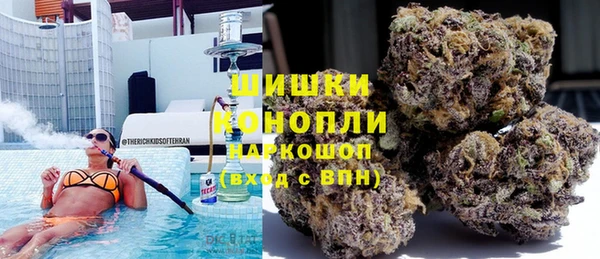 ПСИЛОЦИБИНОВЫЕ ГРИБЫ Лабытнанги