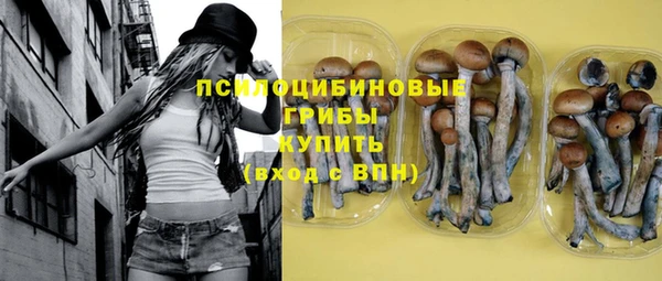 ПСИЛОЦИБИНОВЫЕ ГРИБЫ Лабытнанги